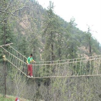 Ridhabhi Homestay In Shimla, Himachal Pradesh, Shimla 4